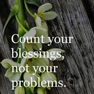 Meet your Posher, Jose ann